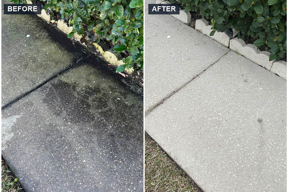 Concrete walkway cleaning before and after: black mildew removed