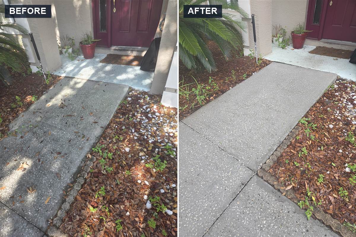 Front walkway pressure washing before and after