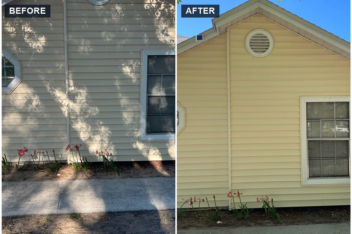 House washing before and after: vinyl siding cleaned with a soft wash