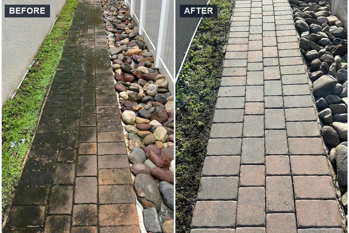 Paver walkway cleaning before and after in a shaded side yard