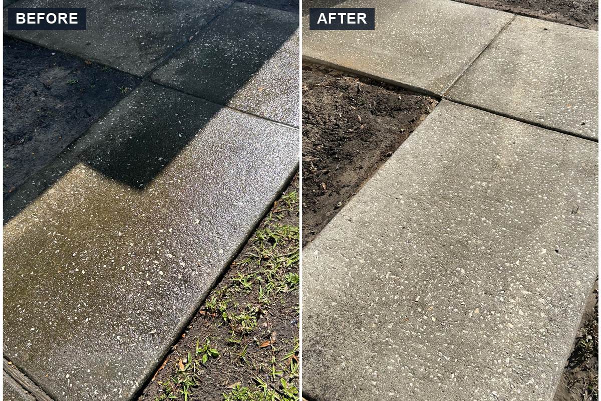 Concrete sidewalk algae cleaning before and after