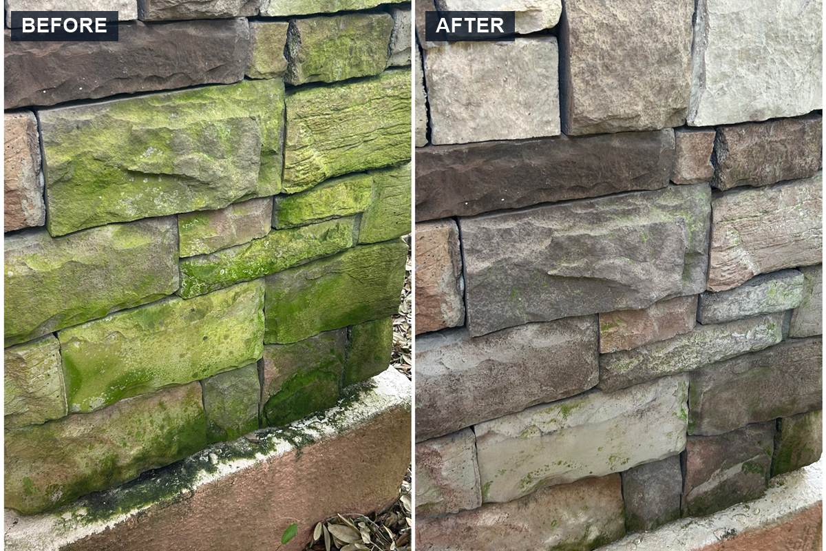 Green algae removed from stacked stone veneer, before and after
